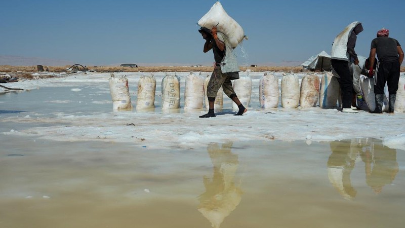 Puluhan pekerja memanen garam dari sumur air asin di gurun Sabkhat al-Muh, wilayah Palmyra, Suriah, dengan bekerja di bawah terik matahari demi upah yang tergolong kecil. (REUTERS/Karam al-Masri)