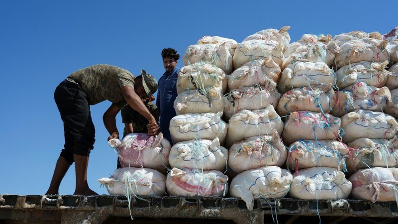 Puluhan pekerja memanen garam dari sumur air asin di gurun Sabkhat al-Muh, wilayah Palmyra, Suriah, dengan bekerja di bawah terik matahari demi upah yang tergolong kecil. (REUTERS/Karam al-Masri)