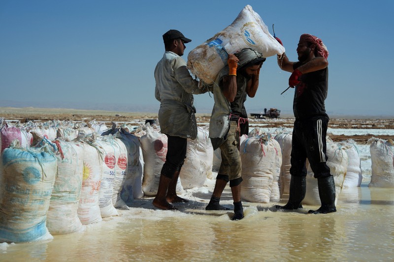 Puluhan pekerja memanen garam dari sumur air asin di gurun Sabkhat al-Muh, wilayah Palmyra, Suriah, dengan bekerja di bawah terik matahari demi upah yang tergolong kecil. (REUTERS/Karam al-Masri)