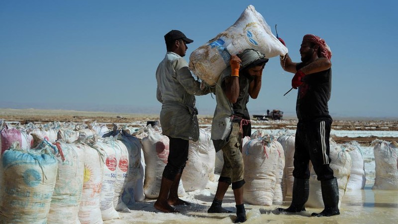 Puluhan pekerja memanen garam dari sumur air asin di gurun Sabkhat al-Muh, wilayah Palmyra, Suriah, dengan bekerja di bawah terik matahari demi upah yang tergolong kecil. (REUTERS/Karam al-Masri)
