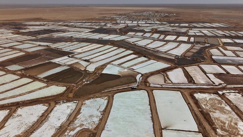 Puluhan pekerja memanen garam dari sumur air asin di gurun Sabkhat al-Muh, wilayah Palmyra, Suriah, dengan bekerja di bawah terik matahari demi upah yang tergolong kecil. (REUTERS/Karam al-Masri)