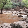 Usai Nepal, Banjir Bandang Hantam Amerika! Warga Dievakuasi