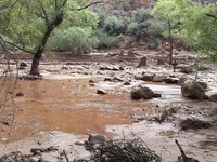 Usai Nepal, Banjir Bandang Hantam Amerika! Warga Dievakuasi
