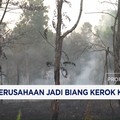 19 Perusahaan Jadi Biang Kerok Karhutla