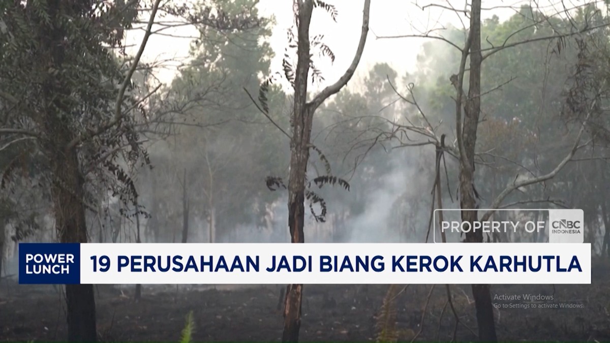 Video: 19 Perusahaan Jadi Biang Kerok Karhutla