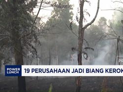 19 Perusahaan Jadi Biang Kerok Karhutla