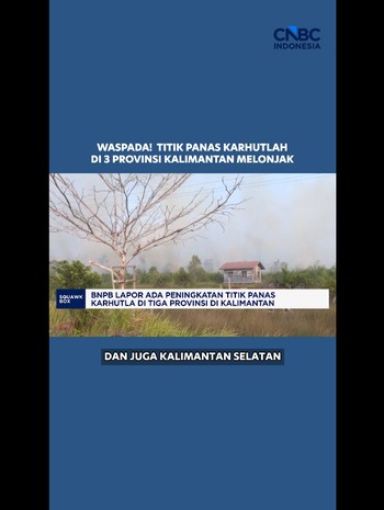 BNPB Lapor Ada Peningkatan Titik Panas Karhutla di Tiga Provinsi di Kalimantan