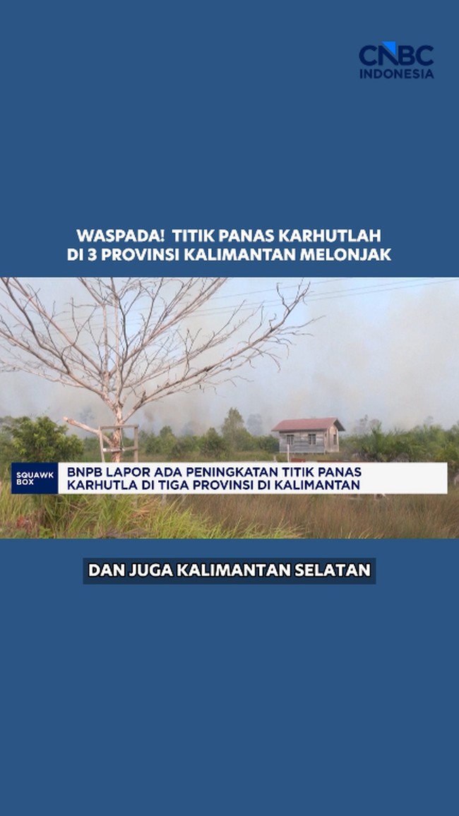 BNPB Lapor Ada Peningkatan Titik Panas Karhutla di Tiga Provinsi di Kalimantan