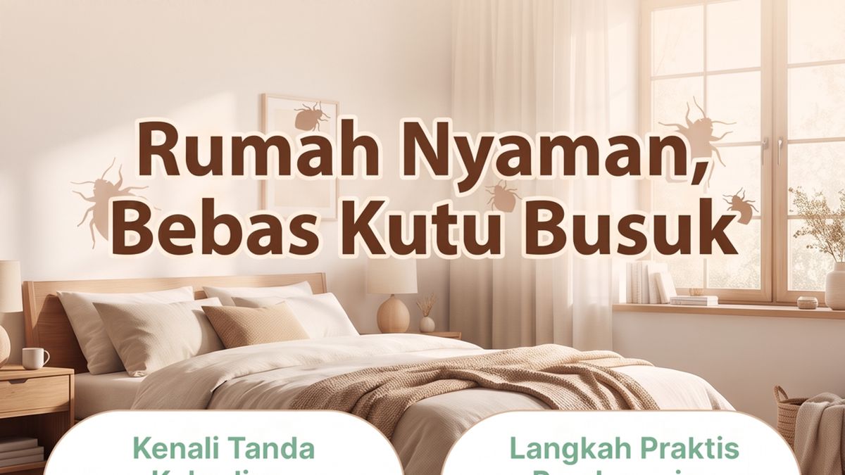 Infografik: Tanda Ada Kutu Busuk di Rumah Anda dan Cara Membasminya