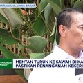 Mentan Pastikan Penanganan Kekeringan Berjalan di Karawang