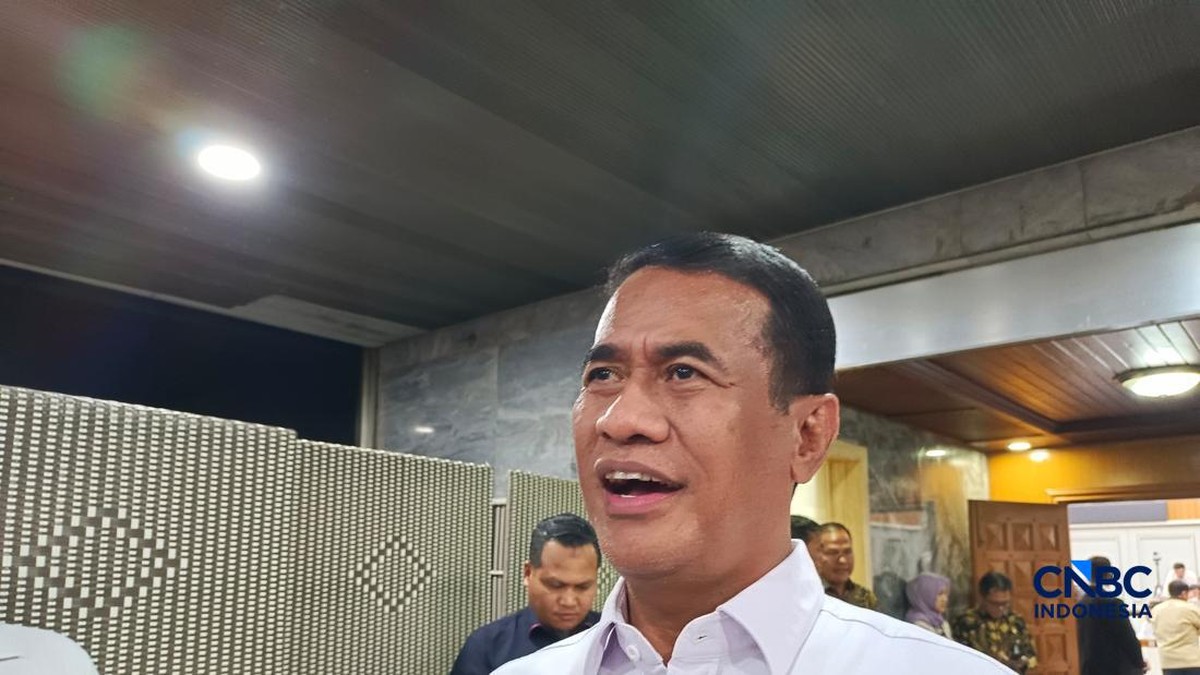 Amran Bongkar Kecurangan Produsen Beras, "Curi" Duit Warga RI Rp89 T