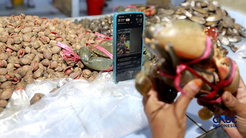 Gubernur Jakarta Pramono Anung menyapa dan berbincang santai dengan salah satu pedagang ikan di lokasi Binaan atau Lokbin Kramat Jati di Jakarta Timur, Selasa (1/9/2026). (CNBC Indonesia/Muhammad Sabki)