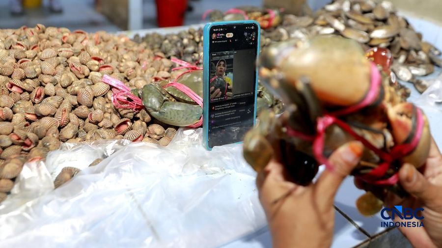 Pedagang ikan, Halilah menjajakan dagangannya melalui live tiktok di letak Binaan alias Lokbin Kramat Jati di Jakarta Timur, Selasa (1/9/2026). (CNBC Indonesia/Muhammad Sabki)
