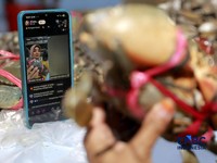Pedagang ikan, Halilah menjajakan dagangannya melalui live tiktok di lokasi Binaan atau Lokbin Kramat Jati di Jakarta Timur, Selasa (1/9/2026). (CNBC Indonesia/Muhammad Sabki)