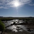 Sebagian dasar danau mengering saat Danau Powellsebuah waduk vital yang terletak di Glen Canyon National Recreation Area, Utah (tepat di seberang perbatasan negara bagian dari Page, Arizona, AS)berada pada tingkat ketinggian air terendah yang pernah