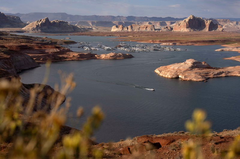 Bunga-bunga liar tumbuh di bagian Danau Powell yang telah mengering&mdash;sementara waduk vital tersebut berada pada tingkat ketinggian air terendah yang pernah tercatat&mdash;di Kawasan Rekreasi Nasional Glen Canyon, Utah, tepat di seberang perbatasan negara bagian dari Page, Arizona, AS, pada 30 Agustus 2026. (REUTERS/Rebecca Noble)