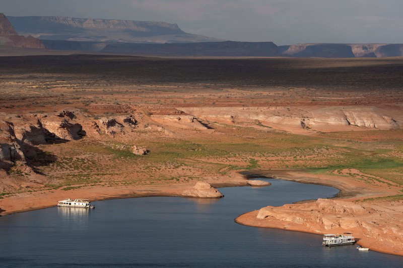 Bunga-bunga liar tumbuh di bagian Danau Powell yang telah mengering&mdash;sementara waduk vital tersebut berada pada tingkat ketinggian air terendah yang pernah tercatat&mdash;di Kawasan Rekreasi Nasional Glen Canyon, Utah, tepat di seberang perbatasan negara bagian dari Page, Arizona, AS, pada 30 Agustus 2026. (REUTERS/Rebecca Noble)