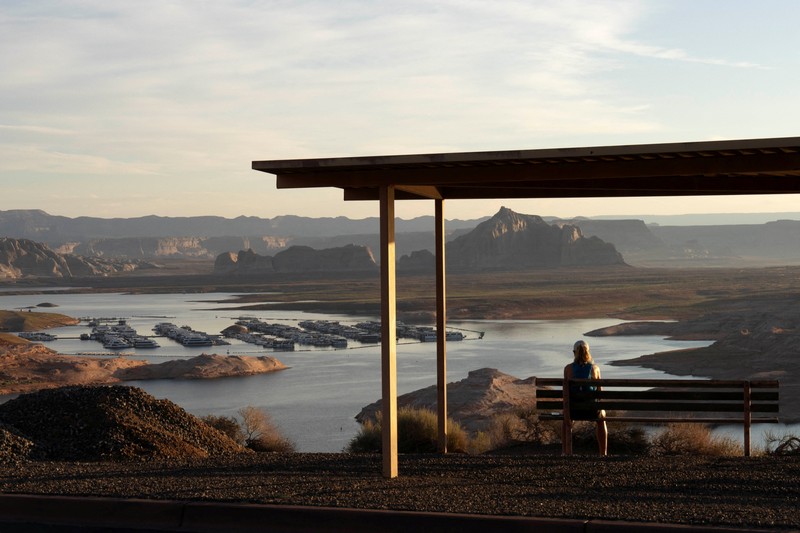 Bunga-bunga liar tumbuh di bagian Danau Powell yang telah mengering&mdash;sementara waduk vital tersebut berada pada tingkat ketinggian air terendah yang pernah tercatat&mdash;di Kawasan Rekreasi Nasional Glen Canyon, Utah, tepat di seberang perbatasan negara bagian dari Page, Arizona, AS, pada 30 Agustus 2026. (REUTERS/Rebecca Noble)