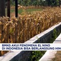 BMKG: Fenomena El Nino di Indonesia Berlangsung hingga 2027
