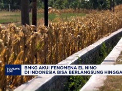 BMKG: Fenomena El Nino di Indonesia Berlangsung hingga 2027