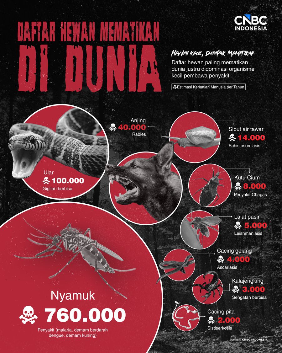Infografis/Daftar Hewan Mematikan di Dunia, yang Terbanyak Tak Terduga/Ilham Restu
