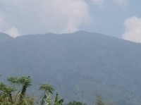 Gunung Ungaran. (Dok. detikcom)
