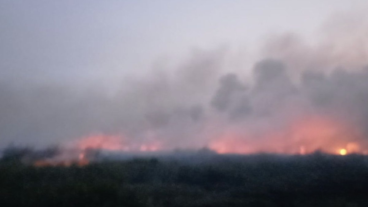 Update Karhutla 2026: Hotspot di Riau-Jambi Nol, Kalimantan Parah