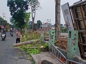 Pekerja di Depok Terpental dari Ketinggian 10 Meter Saat Tebang Pohon