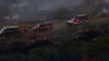 Menhut Larang Keras Lokasi Bekas Karhutla Ditanami Sawit