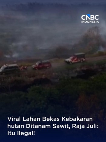 Menhut Larang Keras Lokasi Bekas Karhutla Ditanami Sawit