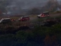 Menhut Larang Keras Lokasi Bekas Karhutla Ditanami Sawit