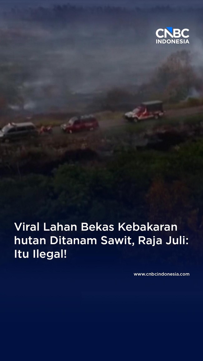 Menhut Larang Keras Lokasi Bekas Karhutla Ditanami Sawit