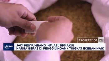 Mentan Bongkar Bisnis Culas Beras Fortifikasi