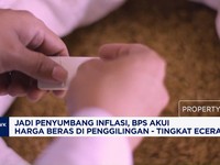 Mentan Bongkar Bisnis Culas Beras Fortifikasi