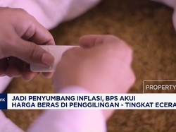 Mentan Bongkar Bisnis Culas Beras Fortifikasi