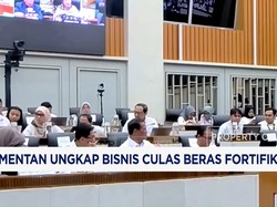 Mentan Bongkar Bisnis Culas Beras Fortifikasi