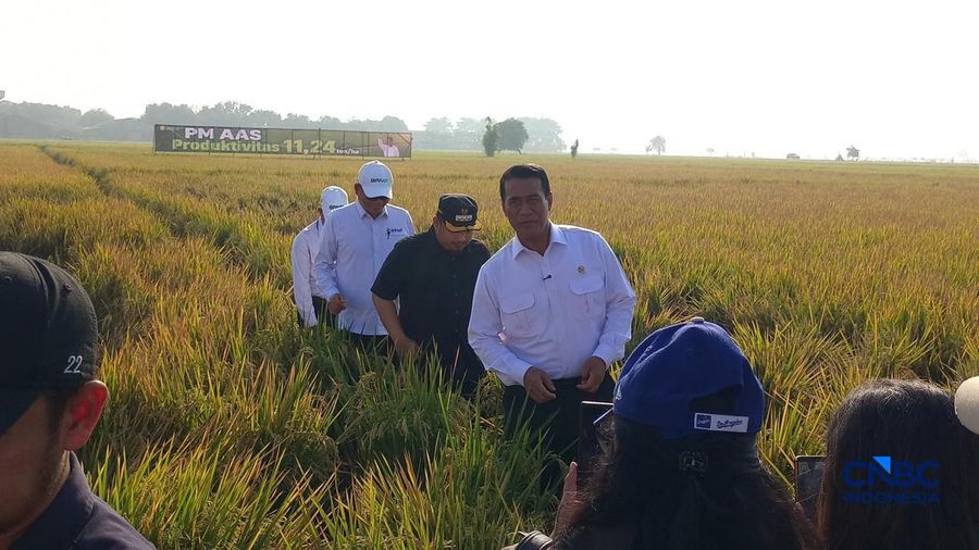 Menteri Pertanian (Mentan) Amran Sulaiman saat ditemui di Balai Besar Perakitan dan Modernisasi Pertanian Tanaman Padi Sukamandi, Subang, Jawa Barat, Rabu (2/9/2026). (CNBC Indonesia/Martyasari Rizky)