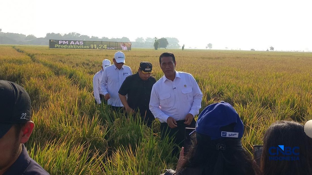 Amran Punya Senjata Baru Naikkan Produksi Beras, Petani Bisa Kaya Raya