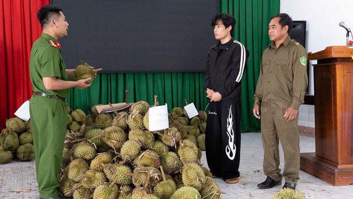 Nekat! Pemuda Ini Curi 1,6 Ton Durian karena Tak Punya Uang