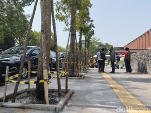 10 Pohon Kembali Ditanam di Depan SixNine Padel Bandung, Ini Jenisnya