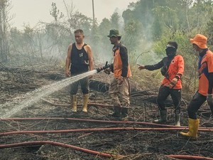 Hotspot Banyak di Pesisir Bulungan, Wilayah Masyarakat Adat Terpantau Aman
