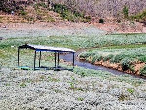 Waduk Bendo Ponorogo Surut, Nelayan Jalan Kaki 2 Km Cari Ikan