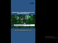 Beruang Madu - Lutung Merah Muncul di IKN, Ekosistem Hutan Pulih?