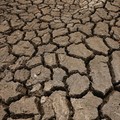 Dasar kolam air yang retak dan kering di Desa Galwela Yaya, Distrik Ampara, Sri Lanka, 28 Agustus 2026. (REUTERS/Priyanshu Singh)