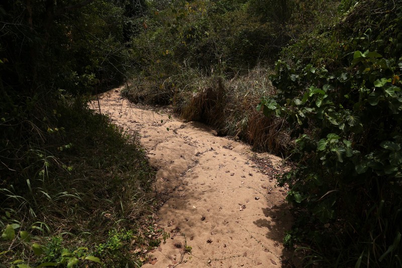 T.B. Leelawathie (49 tahun) dan temannya berjalan membawa ember dan bak saat hendak mandi di sungai yang telah mengering di Desa Galwela Yaya, Distrik Ampara, Sri Lanka, pada 27 Agustus 2026. (REUTERS/Priyanshu Singh)
