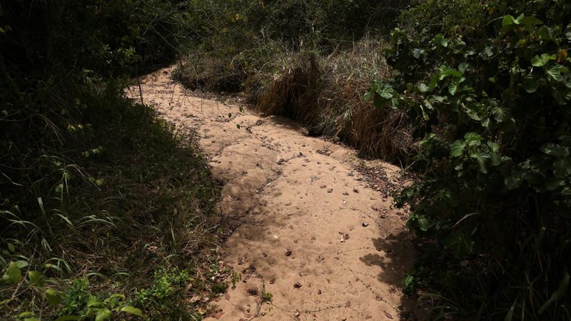 Dasar sungai yang mengering di Desa Galwela Yaya, Distrik Ampara, Sri Lanka, 28 Agustus 2026.