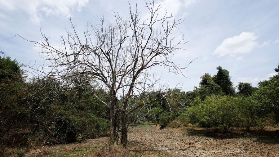 Dasar tangki air yang retak dan kering di Desa Galwela Yaya, Distrik Ampara, Sri Lanka, 28 Agustus 2026.