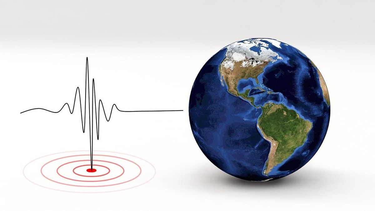 Tanda Gempa Bumi Bisa Dilihat dari Perilaku Aneh Hewan