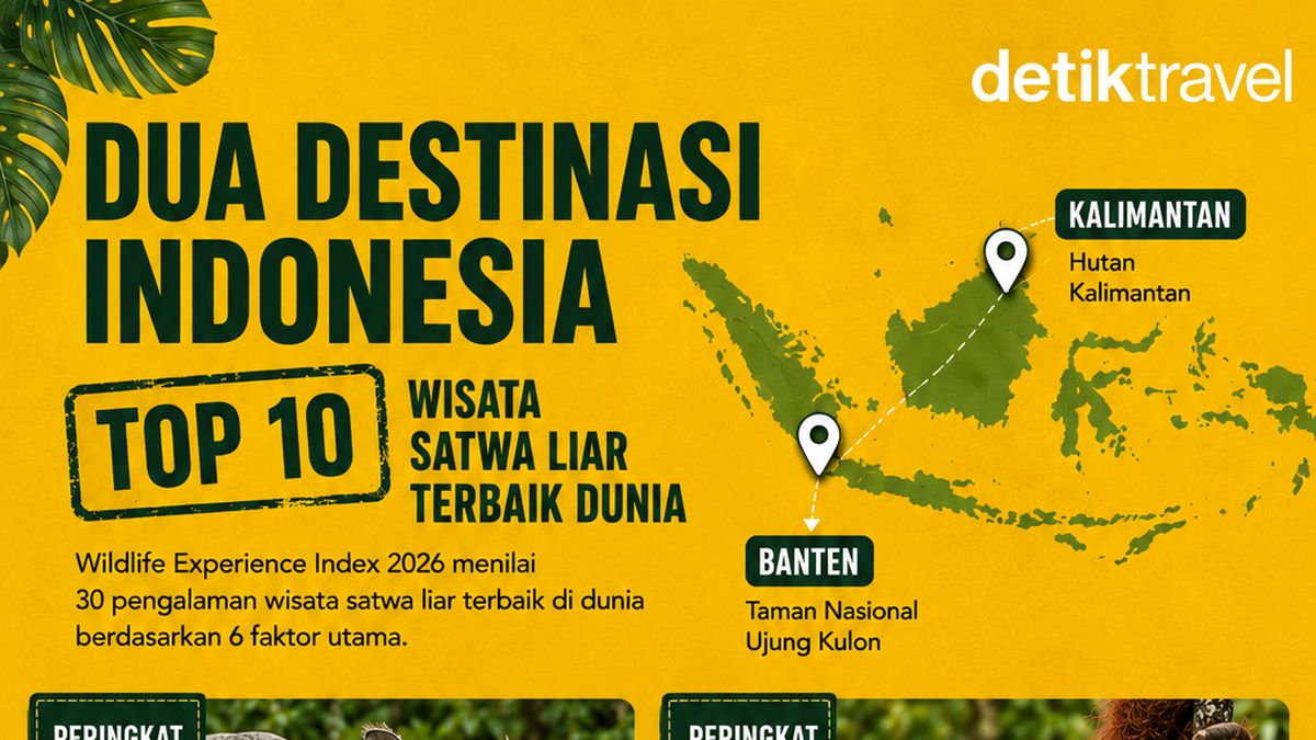 2 Tempat di RI Masuk Daftar Destinasi Wisata Satwa Liar Terbaik Sejagat