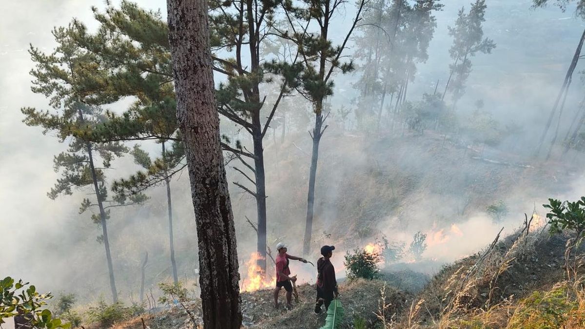 54 Karhutla Terjadi di Ponorogo, 189 Hektare Lahan Hangus dalam 2 Bulan